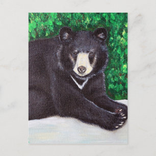Black Bear Painting Postcard