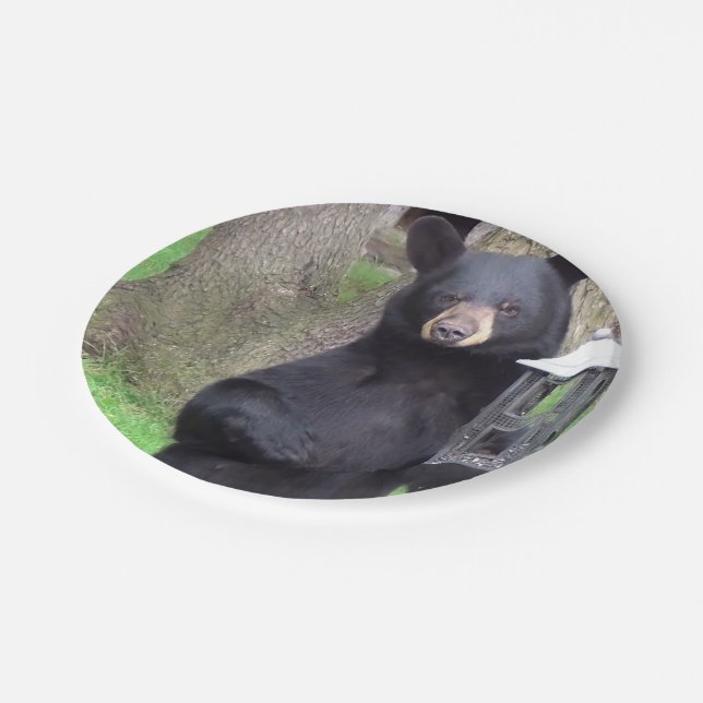 Black Bear Paper Plate (Angled)