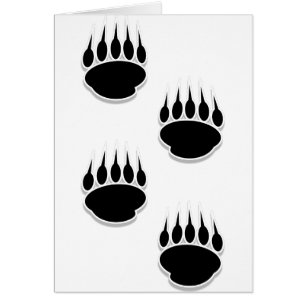 Black Bear Paw Prints