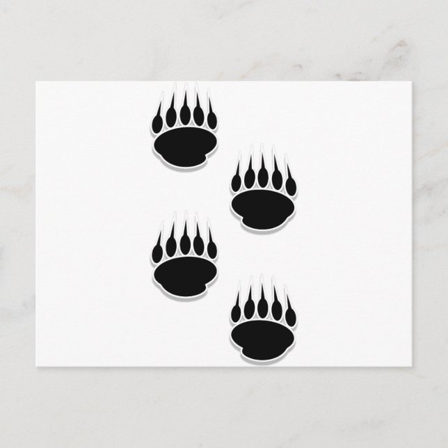 Black Bear Paw Prints Postcard (Front)