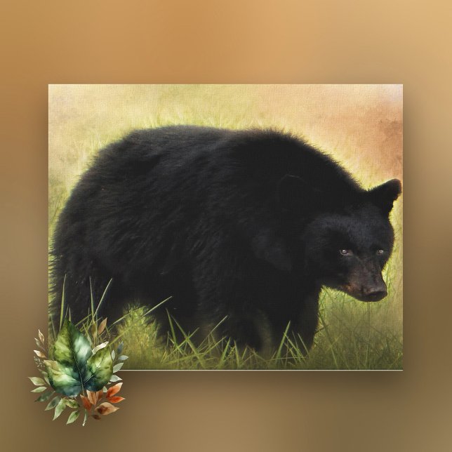 Black Bear Photo Art  Canvas (Creator Uploaded)
