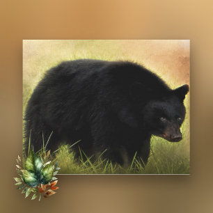 Black Bear Photo Art Canvas Print