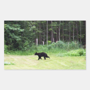 Black Bear  Rectangular Sticker