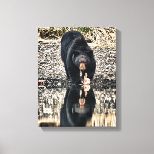 Black Bear Reflections Canvas Print