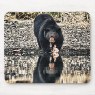 Black Bear Reflections Mouse Mat
