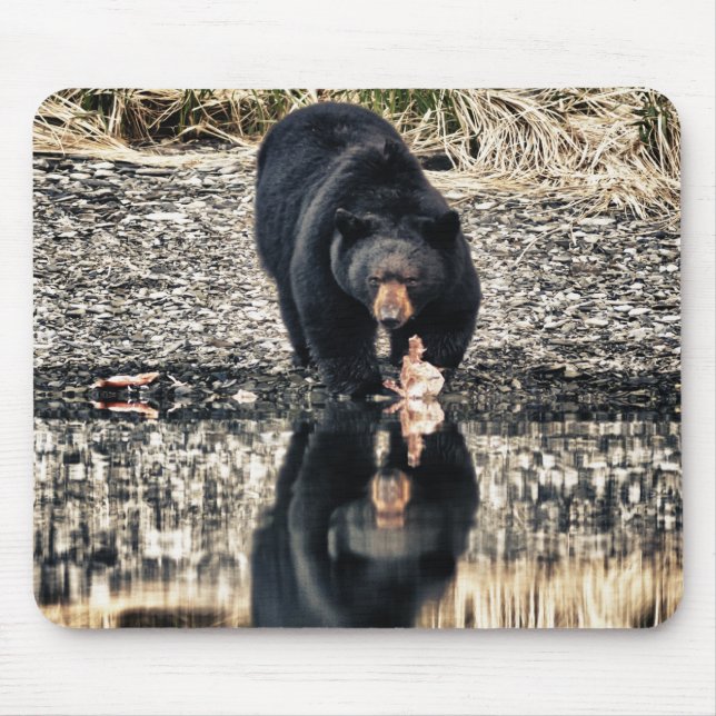 Black Bear Reflections Mouse Mat (Front)