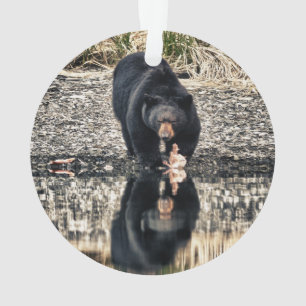 Black Bear Reflections Ornament