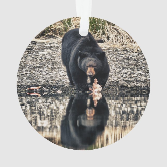 Black Bear Reflections Ornament (Back)