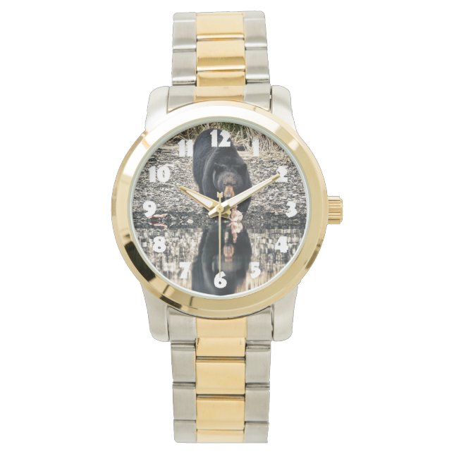 Black Bear Reflections Watch (Front)