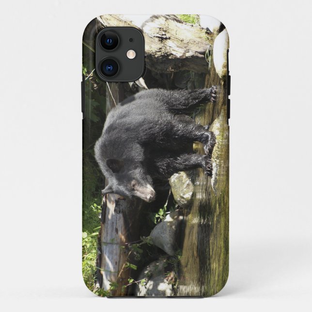 Black Bear "Salmon Spotting" Wildlife iPhone Case (Back)
