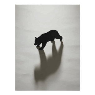 Black Bear Shadow in White Wilderness Poster