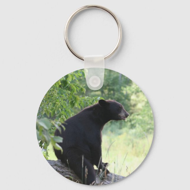 black bear sitting in tree key ring (Front)