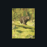 Black Bear Stepping on a Tree Trunk Canvas Print<br><div class="desc">This fine art print by Oliver Kemp illustrates a brown bear stepping on a fallen tree in a forest. The pastel green colours are calming for the eye and create a nice warm feeling of the awakening nature in the spring. A great addition to any rustic home decor!</div>