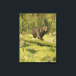 Black Bear Stepping on a Tree Trunk Canvas Print<br><div class="desc">This fine art print by Oliver Kemp illustrates a brown bear stepping on a fallen tree in a forest. The pastel green colours are calming for the eye and create a nice warm feeling of the awakening nature in the spring. A great addition to any rustic home decor!</div>