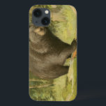 Black Bear Stepping on a Tree Trunk iPhone 13 Case<br><div class="desc">This fine art print by Oliver Kemp illustrates a brown bear stepping on a fallen tree in a forest. The pastel green colours are calming for the eye and create a nice warm feeling of the awakening nature in the spring. A great addition to any rustic home decor!</div>