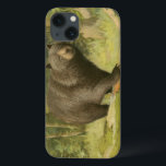 Black Bear Stepping on a Tree Trunk iPhone 13 Case<br><div class="desc">This fine art print by Oliver Kemp illustrates a brown bear stepping on a fallen tree in a forest. The pastel green colours are calming for the eye and create a nice warm feeling of the awakening nature in the spring. A great addition to any rustic home decor!</div>