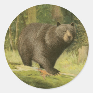 Black Bear Stepping on a Tree Trunk Classic Round Sticker