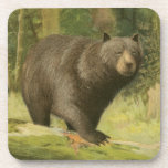 Black Bear Stepping on a Tree Trunk Coaster<br><div class="desc">This fine art print by Oliver Kemp illustrates a brown bear stepping on a fallen tree in a forest. The pastel green colours are calming for the eye and create a nice warm feeling of the awakening nature in the spring. A great addition to any rustic home decor!</div>