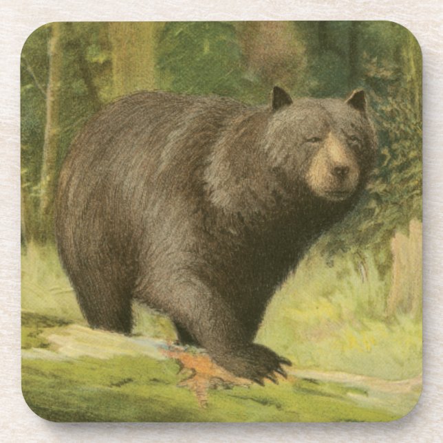 Black Bear Stepping on a Tree Trunk Coaster (Front)