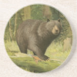 Black Bear Stepping on a Tree Trunk Coaster<br><div class="desc">This fine art print by Oliver Kemp illustrates a brown bear stepping on a fallen tree in a forest. The pastel green colours are calming for the eye and create a nice warm feeling of the awakening nature in the spring. A great addition to any rustic home decor!</div>