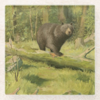 Black Bear Stepping on a Tree Trunk