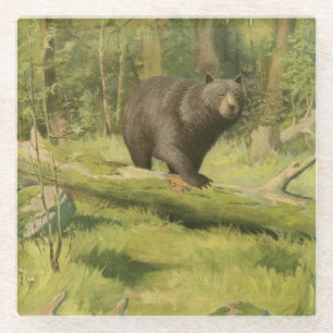 Black Bear Stepping on a Tree Trunk Glass Coaster