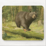 Black Bear Stepping on a Tree Trunk Mouse Mat<br><div class="desc">This fine art print by Oliver Kemp illustrates a brown bear stepping on a fallen tree in a forest. The pastel green colours are calming for the eye and create a nice warm feeling of the awakening nature in the spring. A great addition to any rustic home decor!</div>