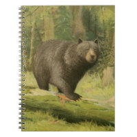 Black Bear Stepping on a Tree Trunk