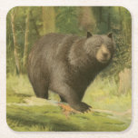 Black Bear Stepping on a Tree Trunk Square Paper Coaster<br><div class="desc">This fine art print by Oliver Kemp illustrates a brown bear stepping on a fallen tree in a forest. The pastel green colours are calming for the eye and create a nice warm feeling of the awakening nature in the spring. A great addition to any rustic home decor!</div>