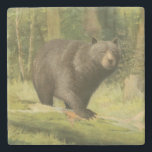 Black Bear Stepping on a Tree Trunk Stone Coaster<br><div class="desc">This fine art print by Oliver Kemp illustrates a brown bear stepping on a fallen tree in a forest. The pastel green colours are calming for the eye and create a nice warm feeling of the awakening nature in the spring. A great addition to any rustic home decor!</div>