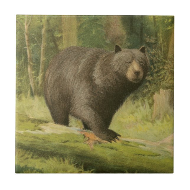 Black Bear Stepping on a Tree Trunk Tile (Front)