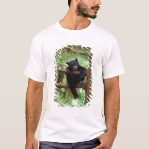 black bear, Ursus americanus, cub in a tree T-Shirt