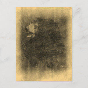 Black Bear Vintage Art Postcards