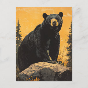 Black Bear vintage Postcard