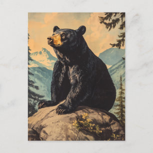 Black bear vintage postcard