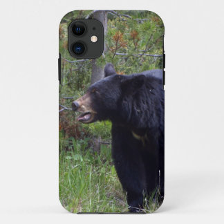 Black Bear Wild Animal Bear-lover iPhone 11 Case