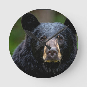 Black Bear Wild Nature Design Round Clock