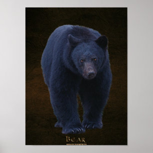 Black Bear Wildlife Art Poster w Faux-leather BG