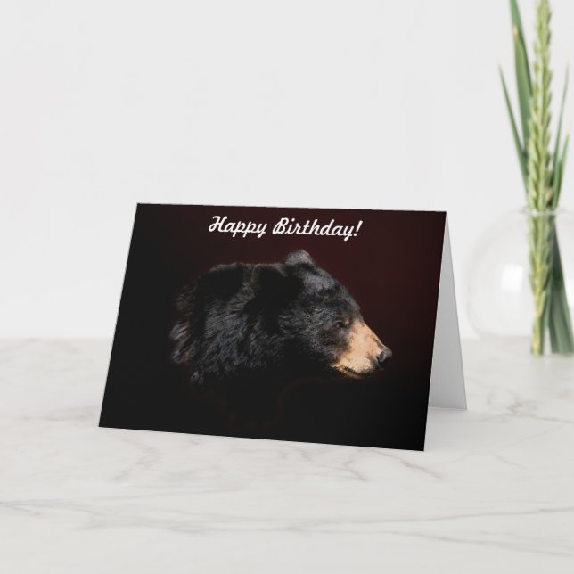 Black Bear Wildlife Birthday Card (Front)