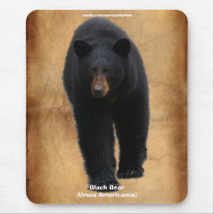 Black Bear Wildlife Supporter Mousepad