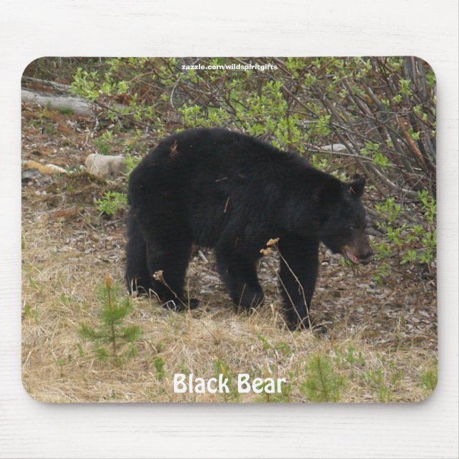 Black Bear  Wildlife Supporter Mousepad (Front)