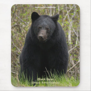 Black Bear Wildlife Supporter Mousepad