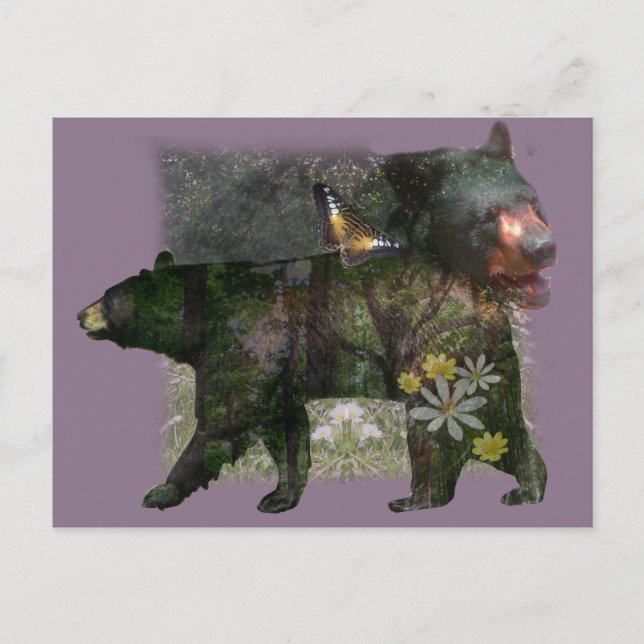 Black Bear Woodland Within Postcard (Front)