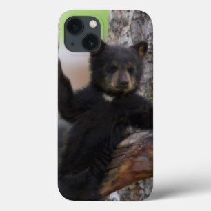 Black Bears Cub Lounging iPhone 13 Case