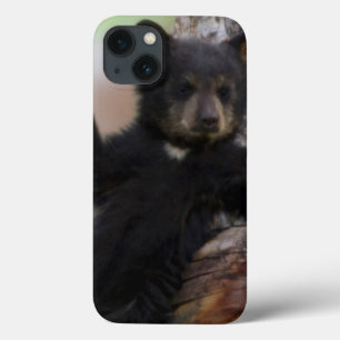 Black Bears Cub Lounging iPhone 13 Case