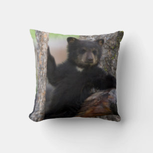 Black Bears Cub Lounging Cushion