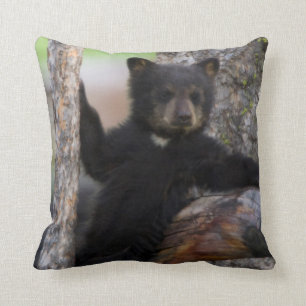 Black Bears Cub Lounging Cushion