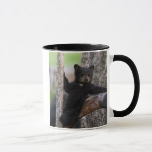Black Bears Cub Lounging Mug