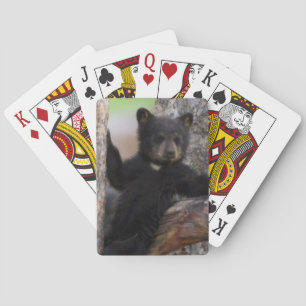 Black Bears Cub Lounging Playing Cards