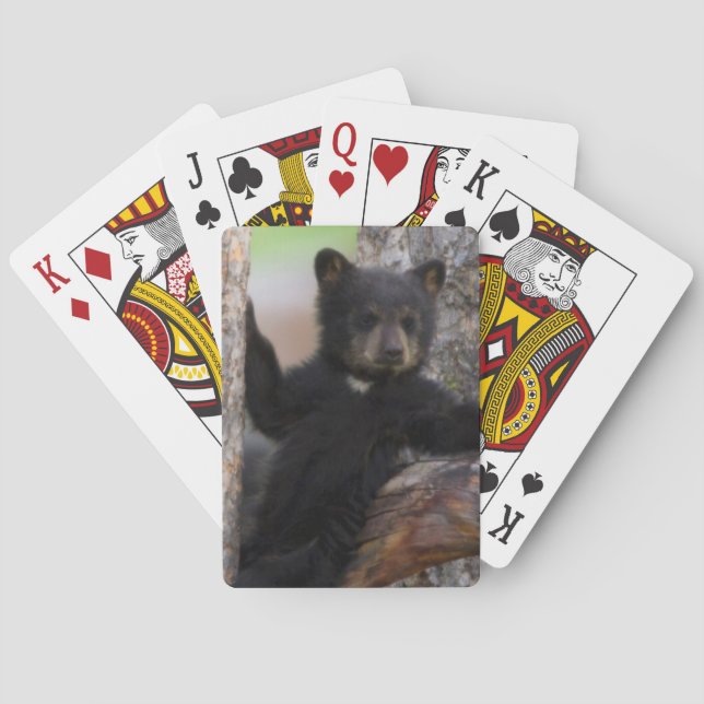 Black Bears Cub Lounging Playing Cards (Back)